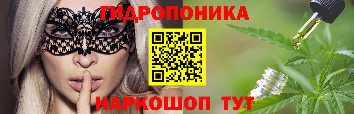 Каннабис сатива Кандалакша